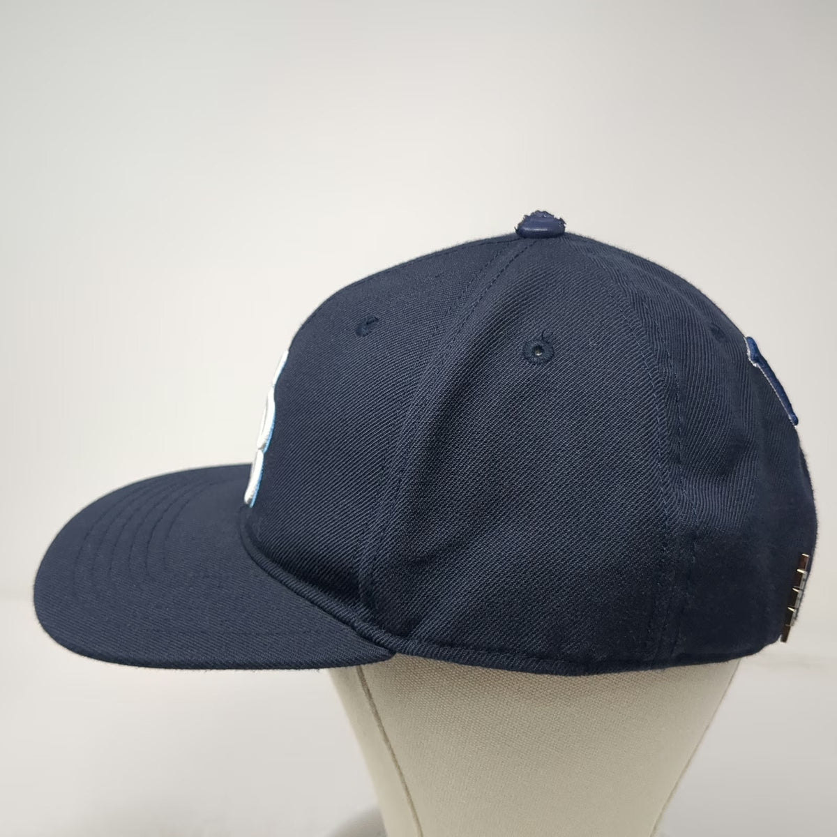 Tampa Bay Rays MLB Pro Standard Snapback Hat Blue One Size Leather Button Logo