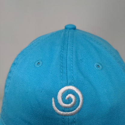 Lung Force Walk 2016-2017 Strapback Hat Blue One Size Cap America