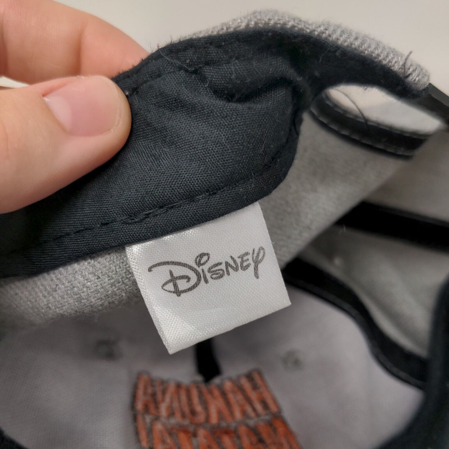 Hakuna Matata Snapback Hat Multi One Size Embroidered Colorblock Disney