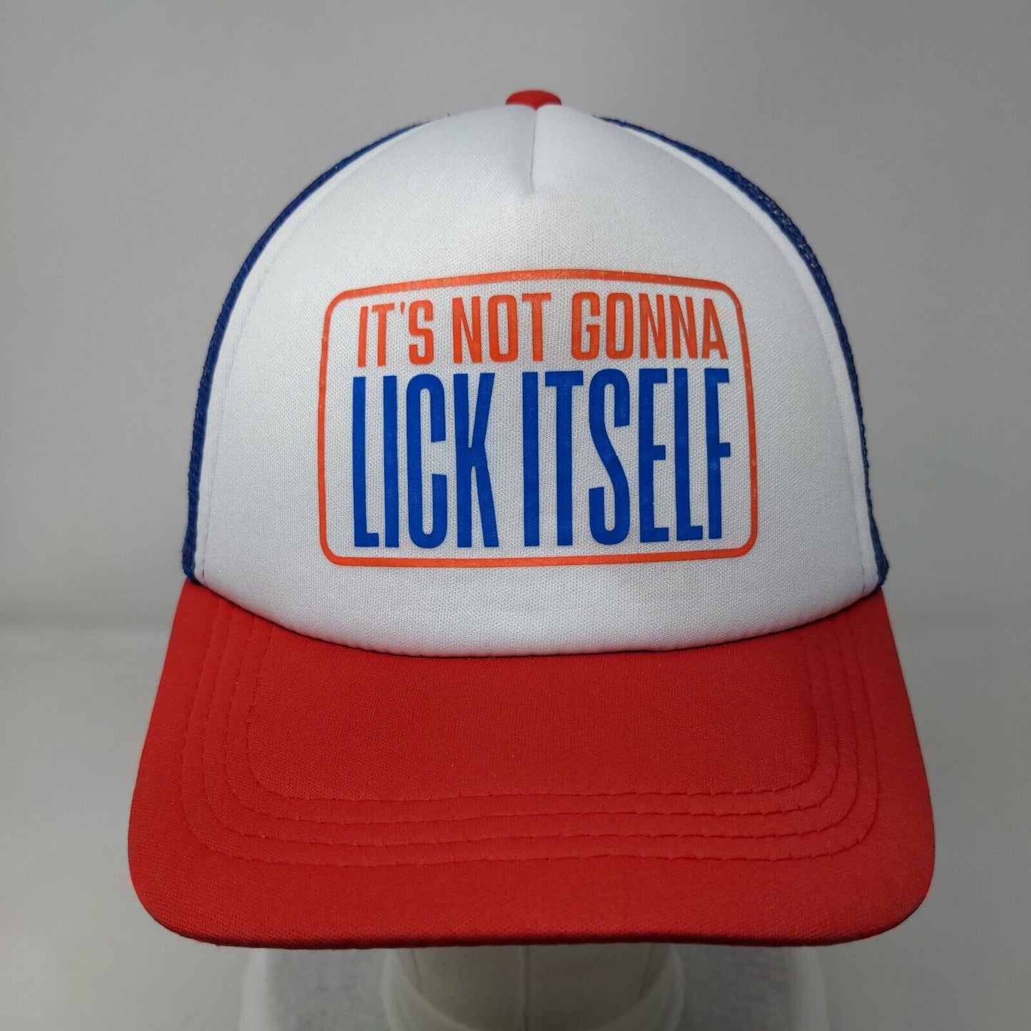 It's Not Gonna Lick Itself Snapback Trucker Hat Multi One Size Colorblock