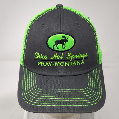 Ouray Trucker Hat Gray Green One Size Chico Hot Springs Montana Moose Snapback
