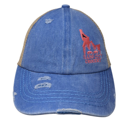 Idaho City Grocery Trucker Hat Multicolor OS Adjustable Distressed Mesh Back
