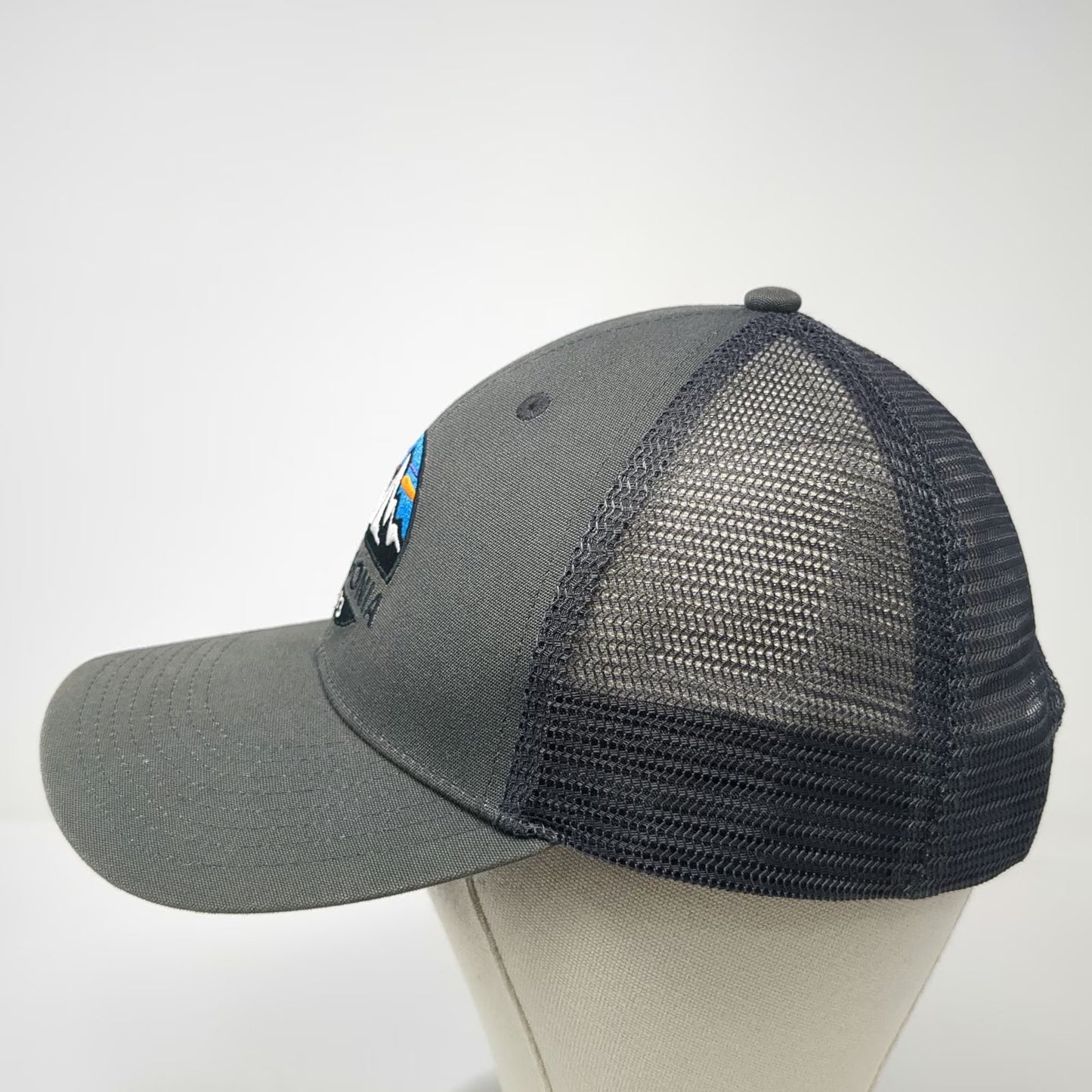 Patagonia Trucker Hat Gray One Size Mesh Snapback Mountain Logo 1973 Hiking Cap