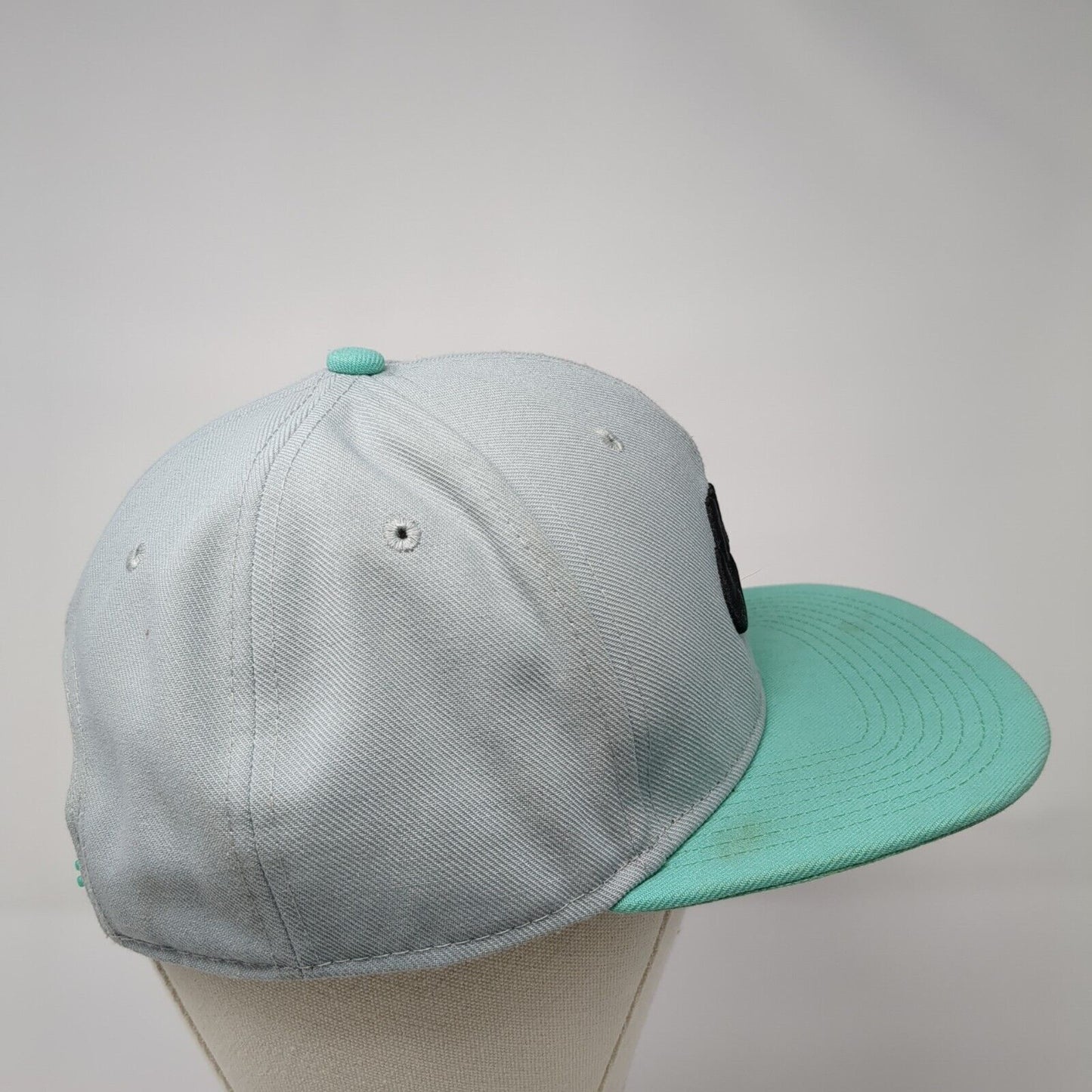 Nike SB Skateboard Snapback Hat Gray Blue Embroidered Logo Adjustable OSFA