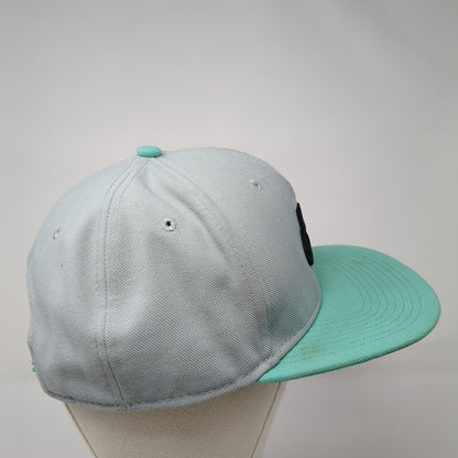 Nike SB Skateboard Snapback Hat Gray Blue Embroidered Logo Adjustable OSFA