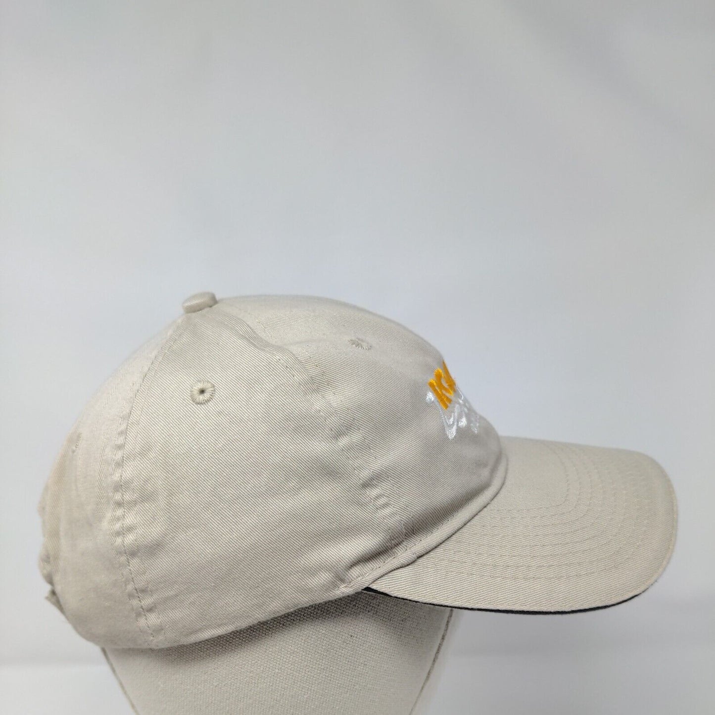 Roaring Springs Water Park Strapback Hat Tan One Size Port & Company