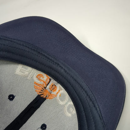 Sweet Caps Baseball Cap Blue M Big Dog Satellite and Solar Stretch Fit Hat