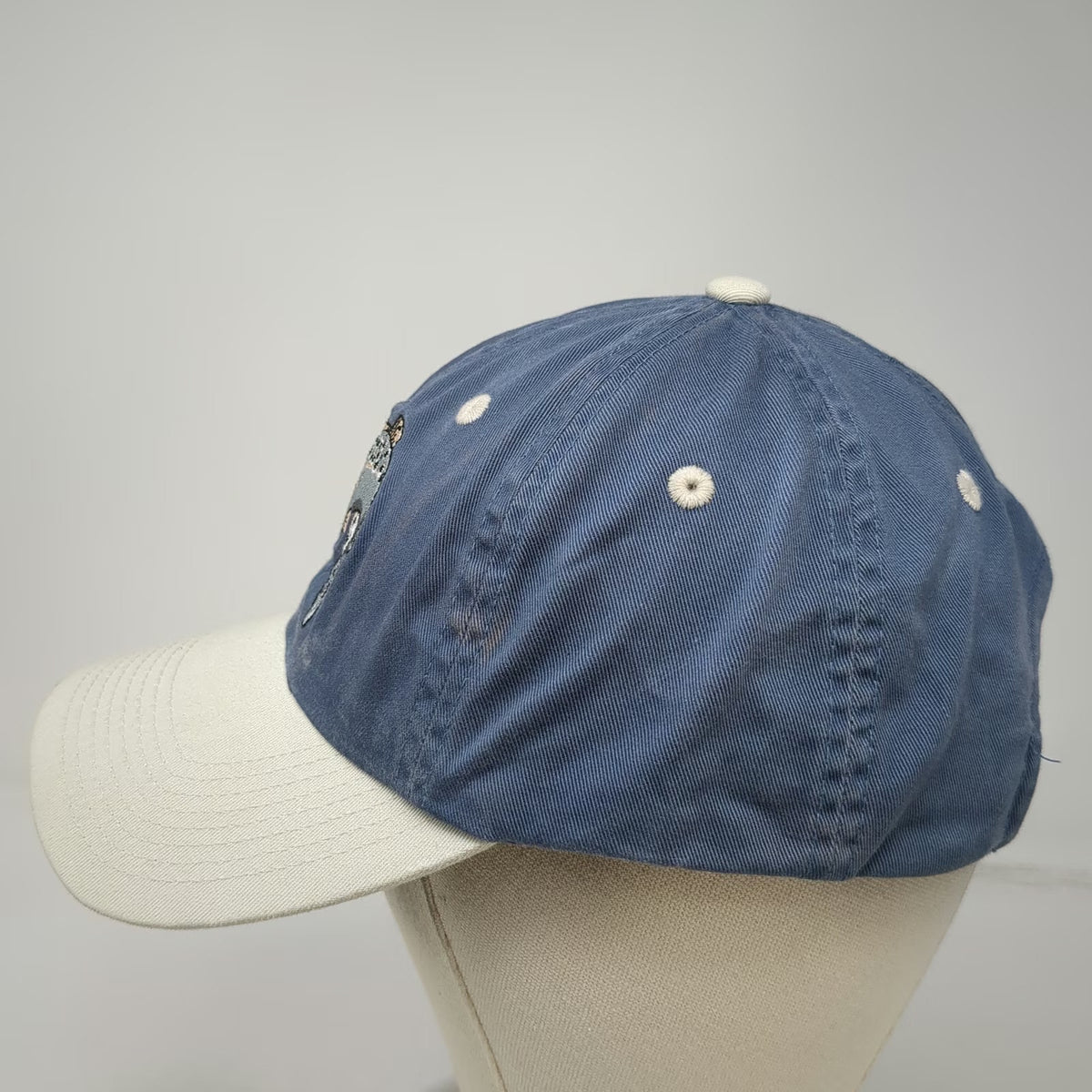 Outdoor Cap Baseball Cap Blue One Size Embroidered Fish Two Tone Slideback Hat