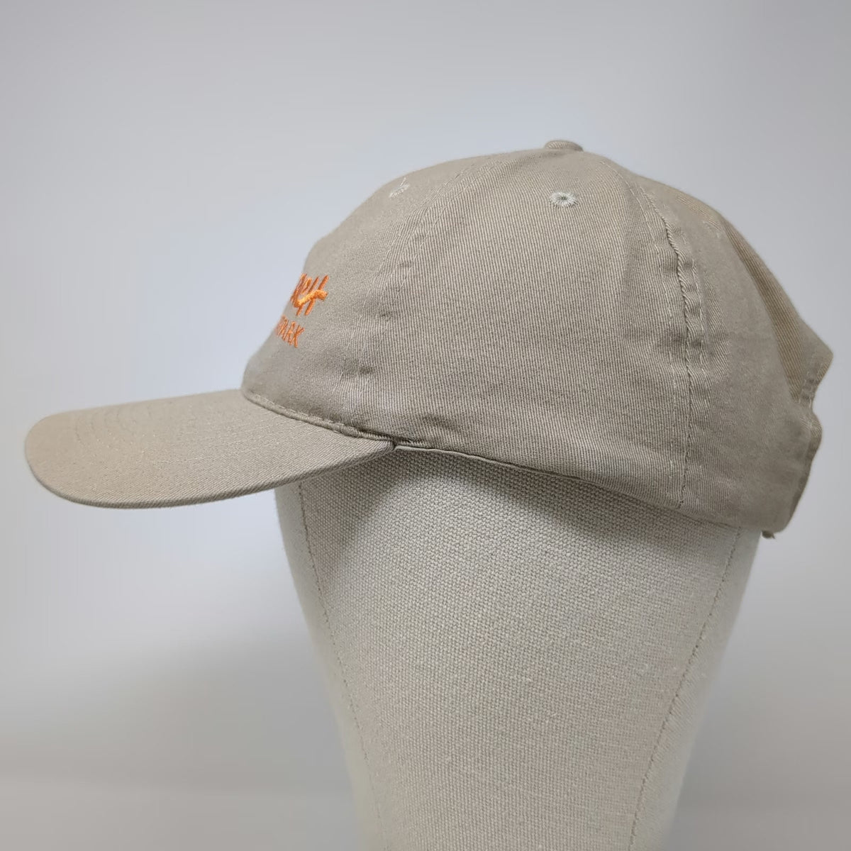 AMC Baseball Cap Beige One Size Camelbeach Mountain Waterpark Logo Poconos Hat