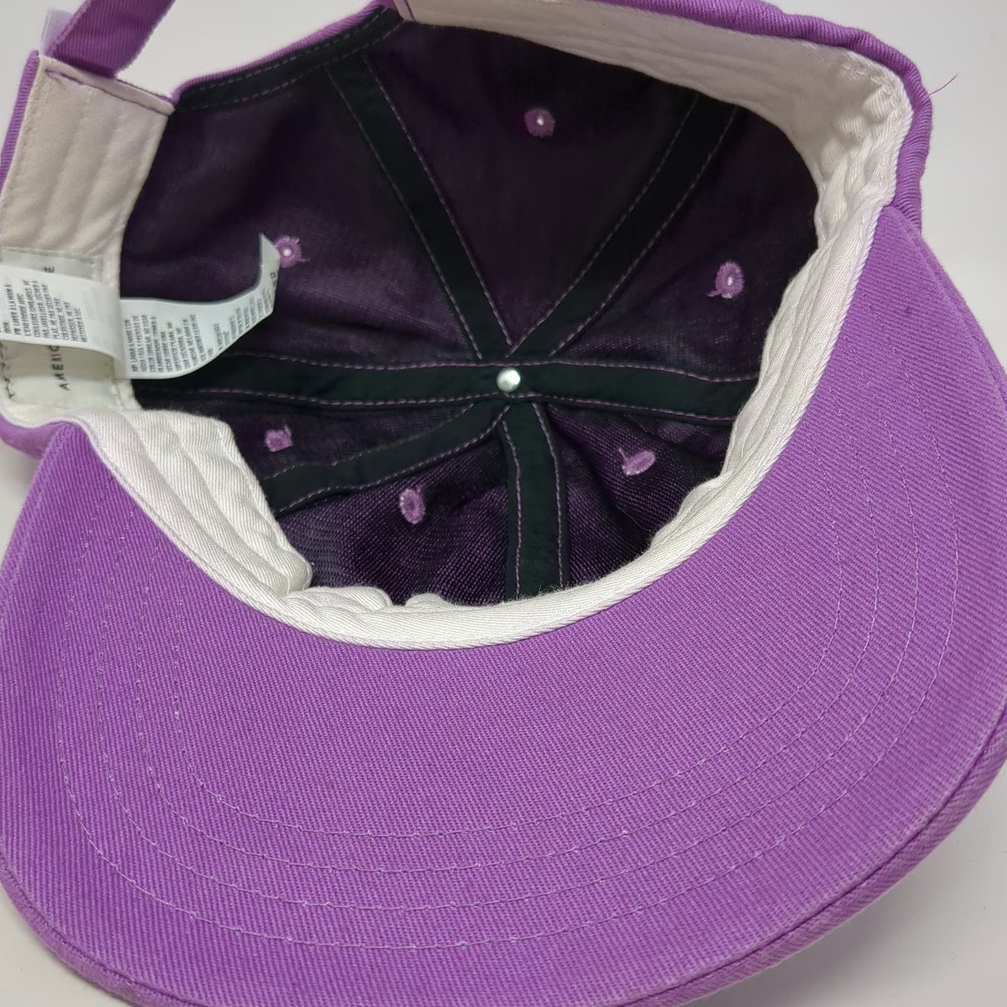 American Eagle Outfitters Baseball Cap Purple One Size Slideback Hat Cotton