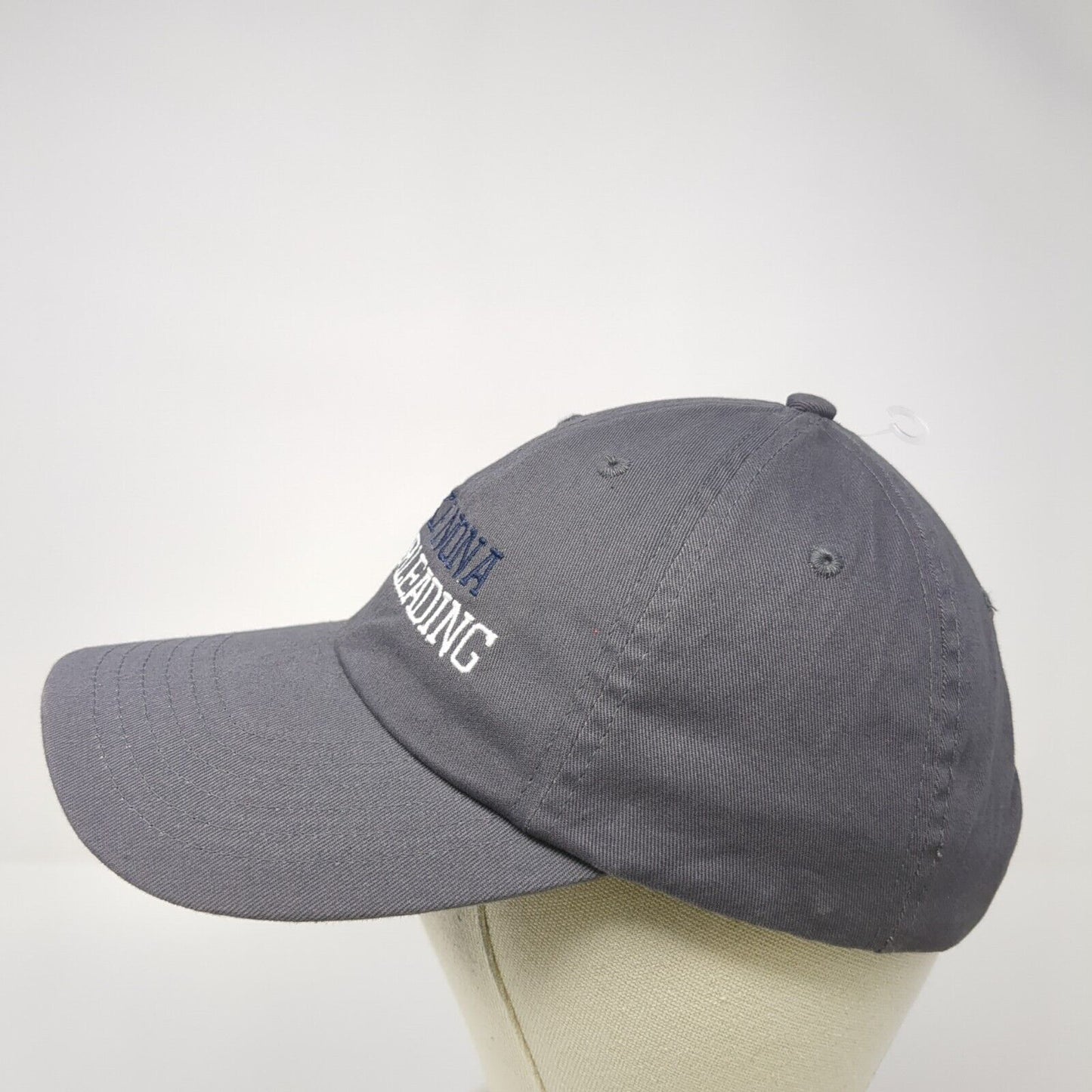 Lake Nona Cheerleading Slideback Hat Gray One Size Adjustable Embroidered BIG X