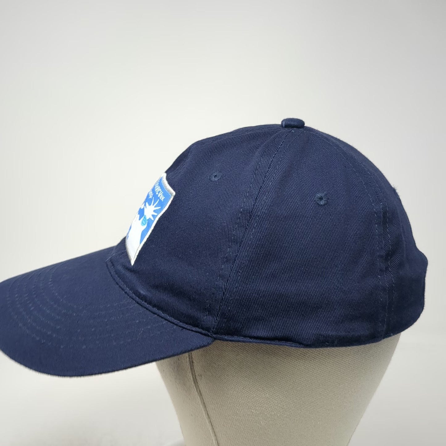 Stronghold PFA Baseball Cap Blue One Size Strapback NYC Health Hospitals Vax Hat