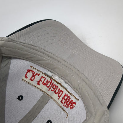 C.R. England Elite Hat Baseball Cap Gray Black One Size Bronze Pin Logo Trucking