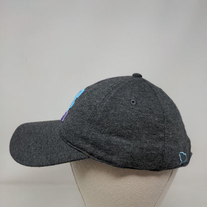 SC USA Slideback Hat Gray OSFM Adjustable Embroidered 6 Panel Home Free