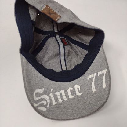 American Eagle Outfitters Since 77 Fitted Hat Gray One Size Nu-Fit