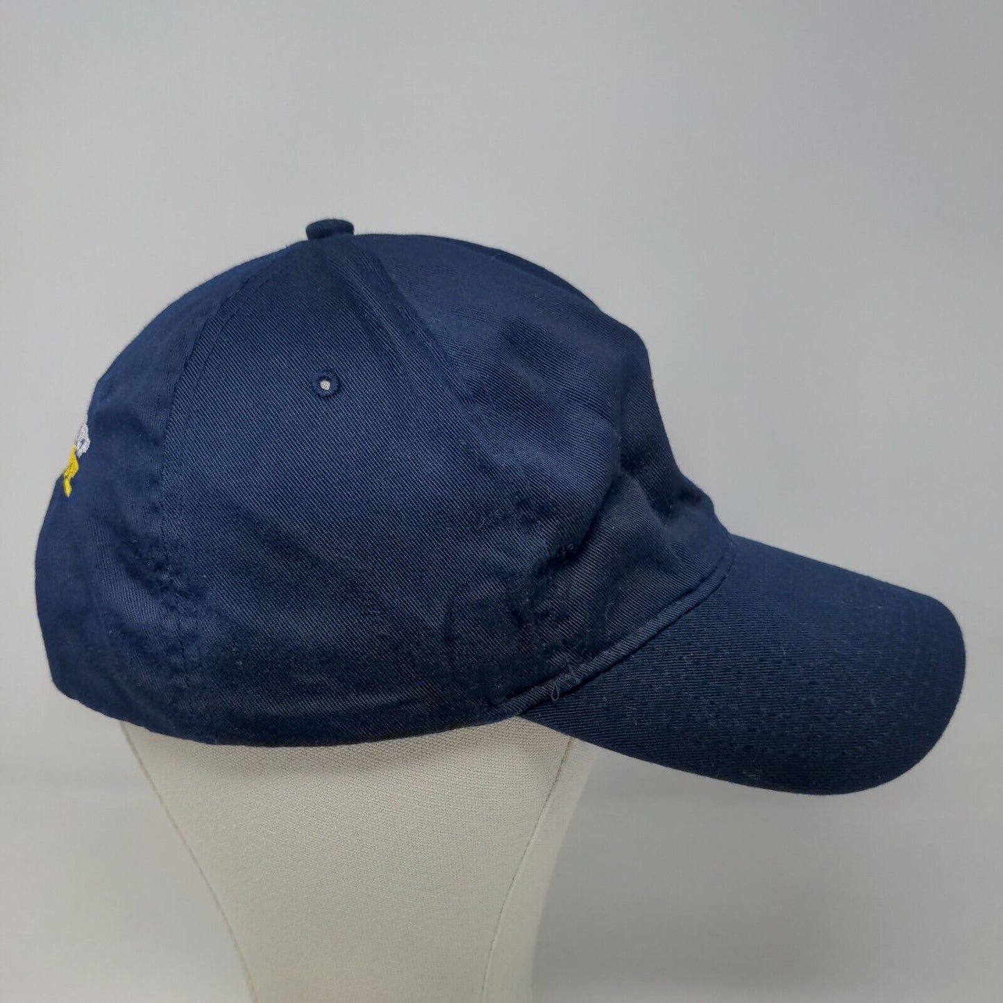 Democracy Prep Endurance School Men's Snapback Hat Blue Embroidered Logo