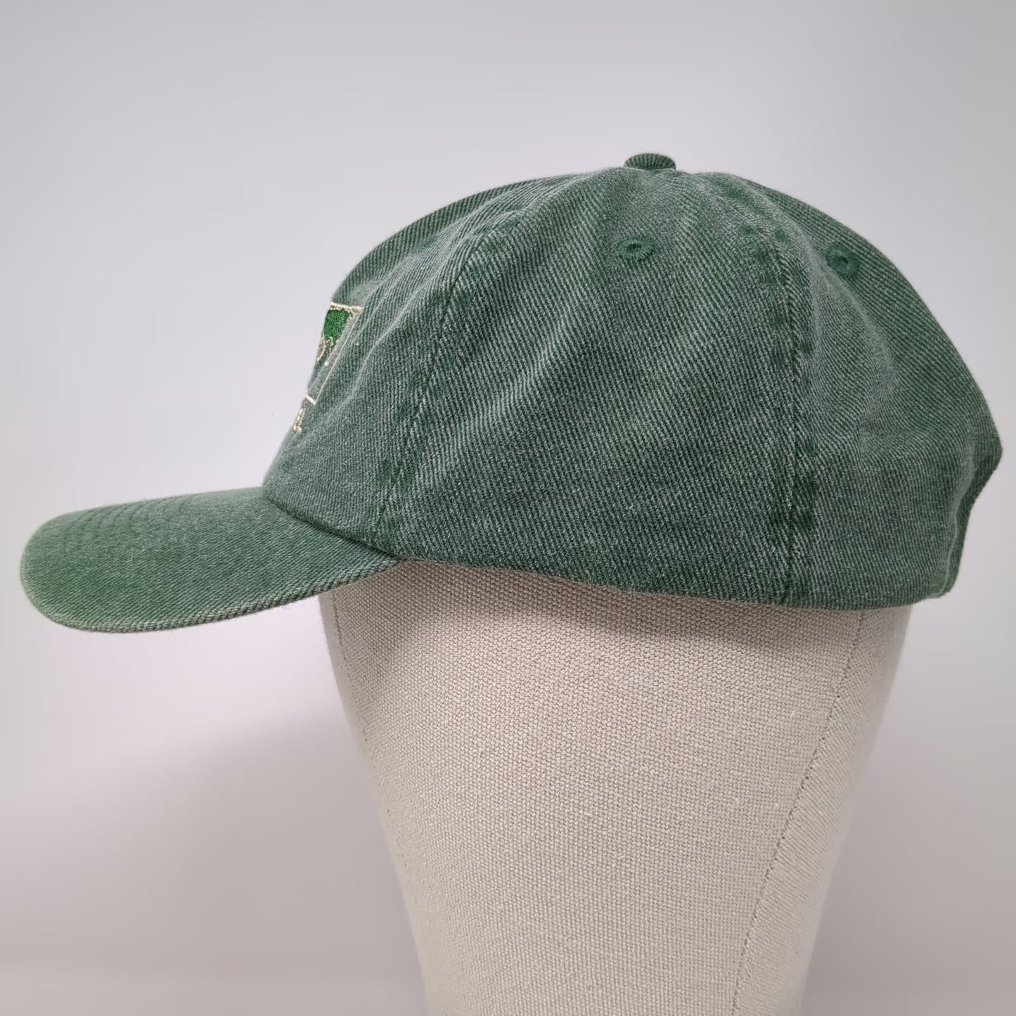 Fahrenheit Baseball Cap Green One Size Elderhostel Explore World Map Cotton Hat