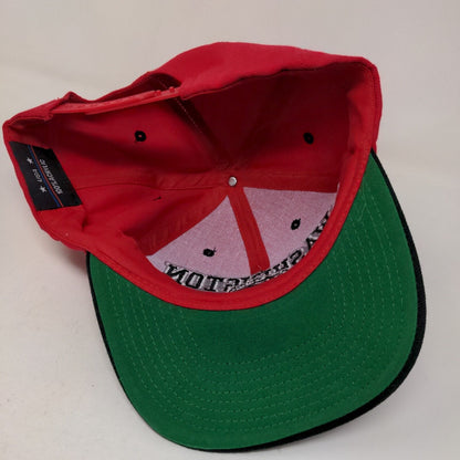 USA Brand Men's Snapback Hat Red Adjustable Embroidered Washington DC Logo