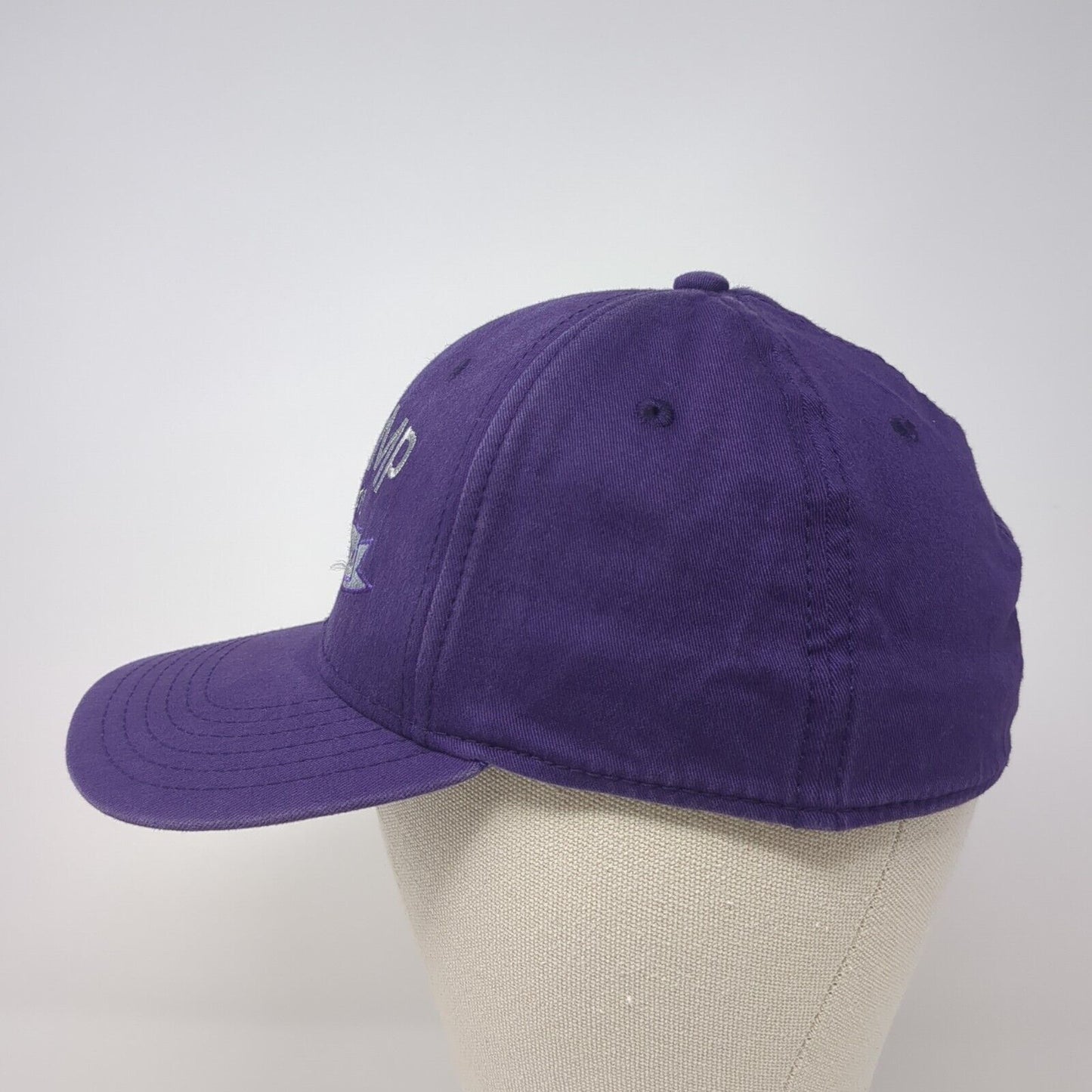 Y Camp Horsethief Reservoir Fitted Hat Purple S/M The YMCA Otto Flex