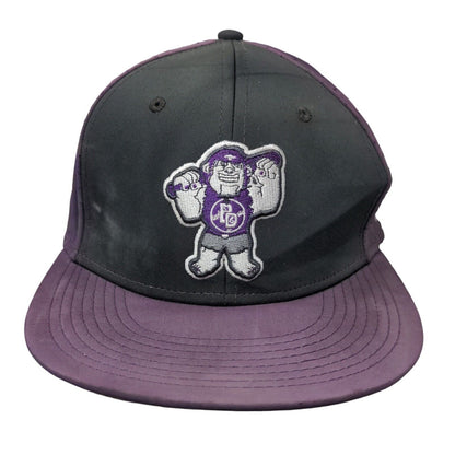 The Game Pro Giants Fitted Hat Purple Black Size L Embroidered Logo