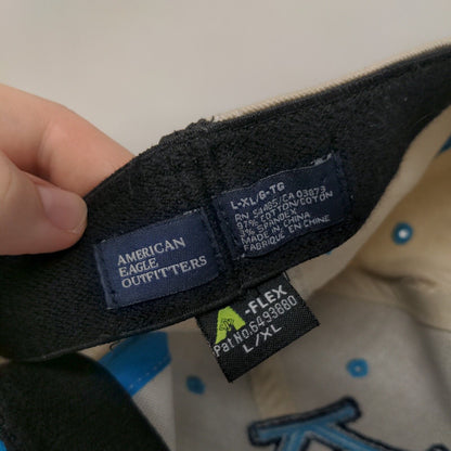 American Eagle Outfitters Fitted Hat Multicolor L/XL Embroidered 6 Panel