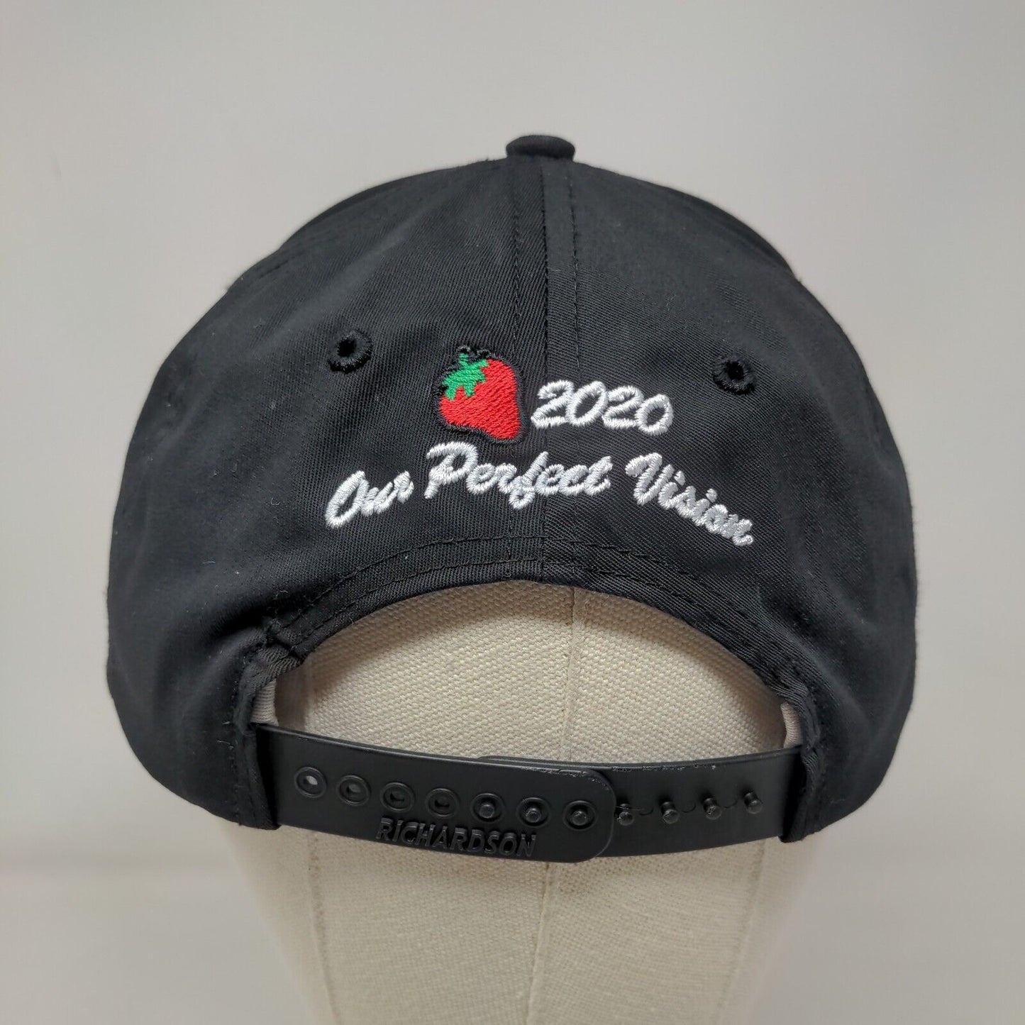 Cool Strawberry Snapback Hat Black M-L Our Perfect Vision 2020 Richardson