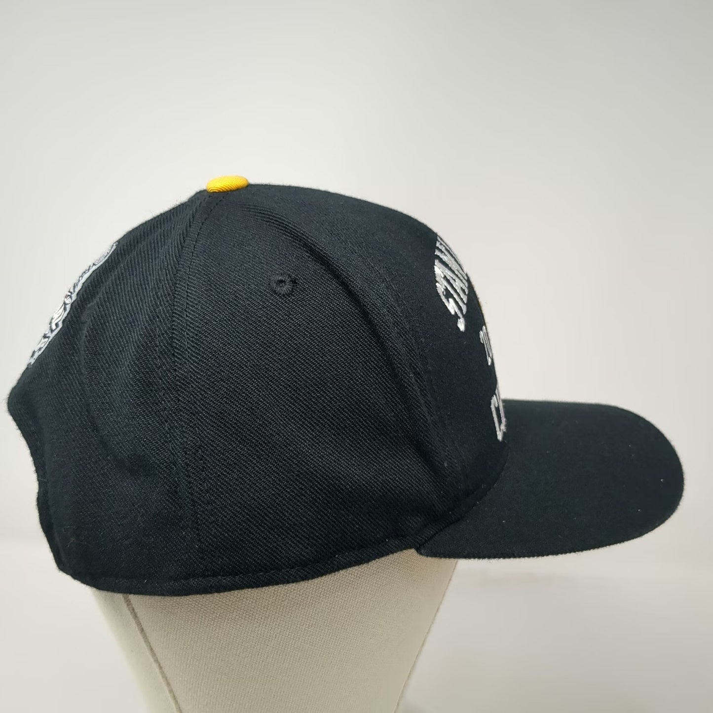 Boston Bruins NHL Reebok Snapback Black One Size 2011 Stanley Cup Champions Hat