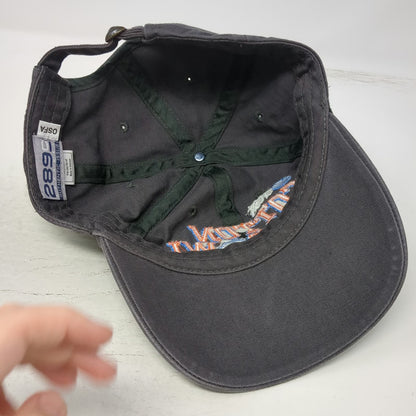 289 Apparel Baseball Cap Gray One Size Hat AT&T Cotton Bowl Classic Embroidered