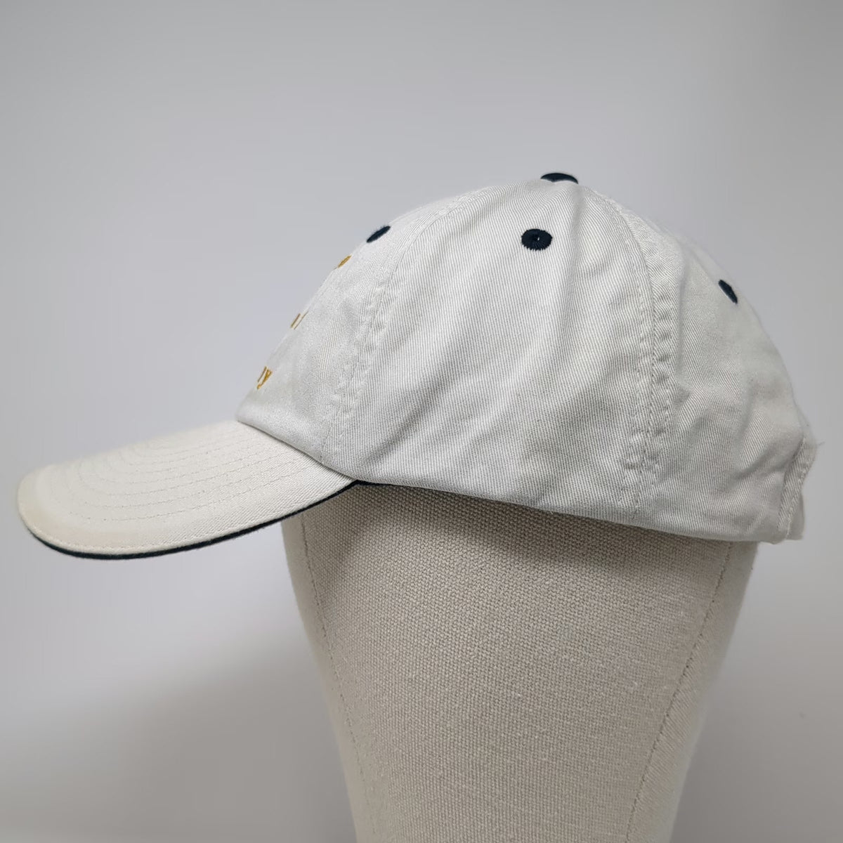 Idaho Trout Company Baseball Cap Beige One Size Embroidered Rainbow Trout Hat