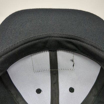 Rayaudio Snapback Hat Black One Size Flat Brim Assemble Autodesk Software Tech