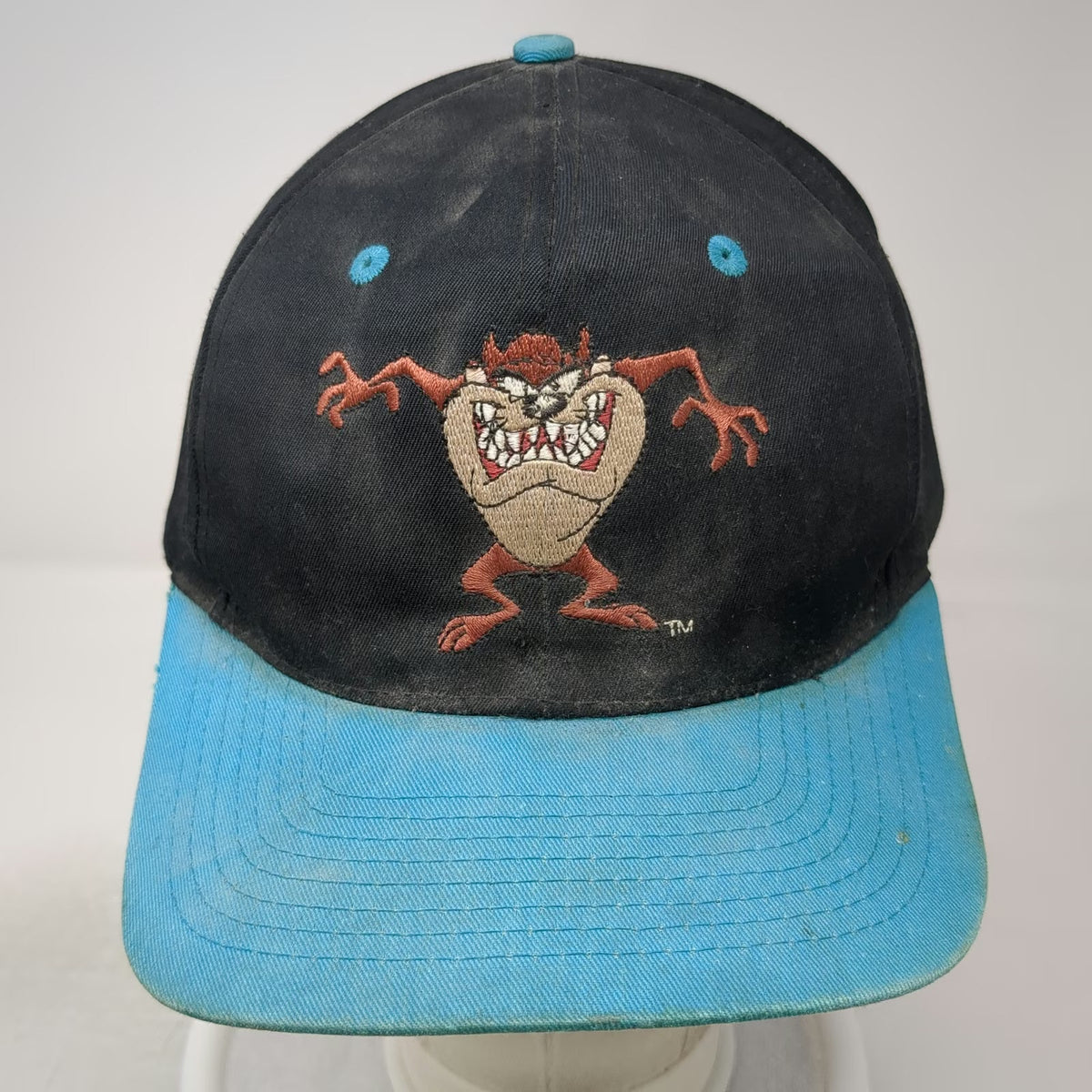 Snapback Hat Black Blue Taz Looney Tunes Character Embroidered Flat Vintage