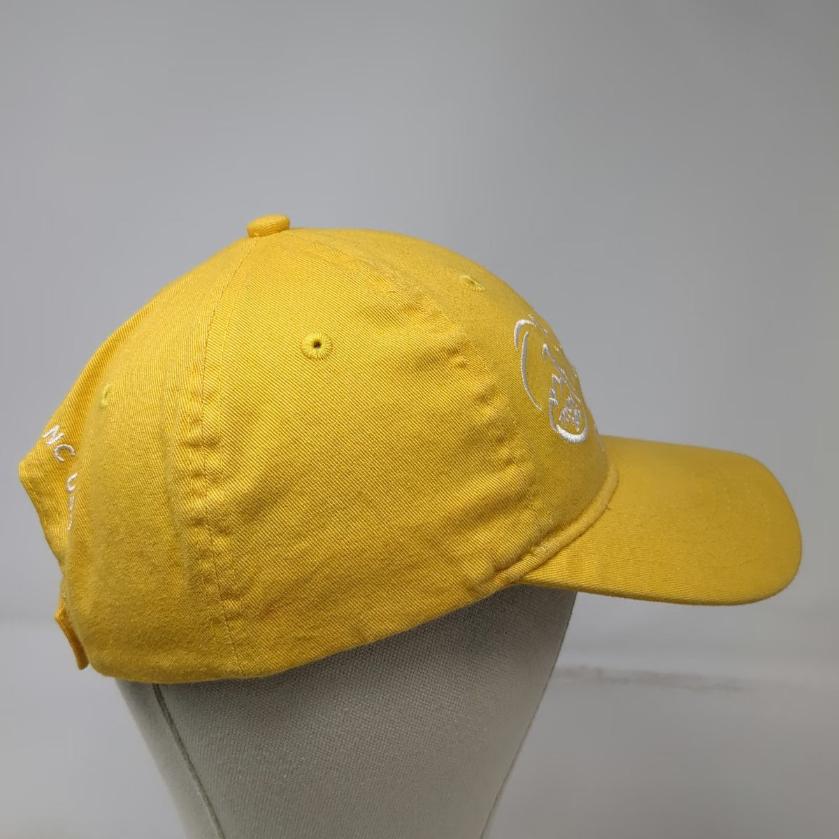 Dyehard Baseball Cap Yellow One Size Tryon 2018 Driving World Equestrian Games
