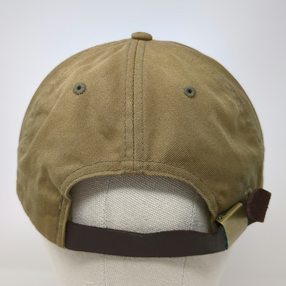 Everlane You Know Baseball Cap Green OSFM Leather Strapback Be Kind Globe Hat