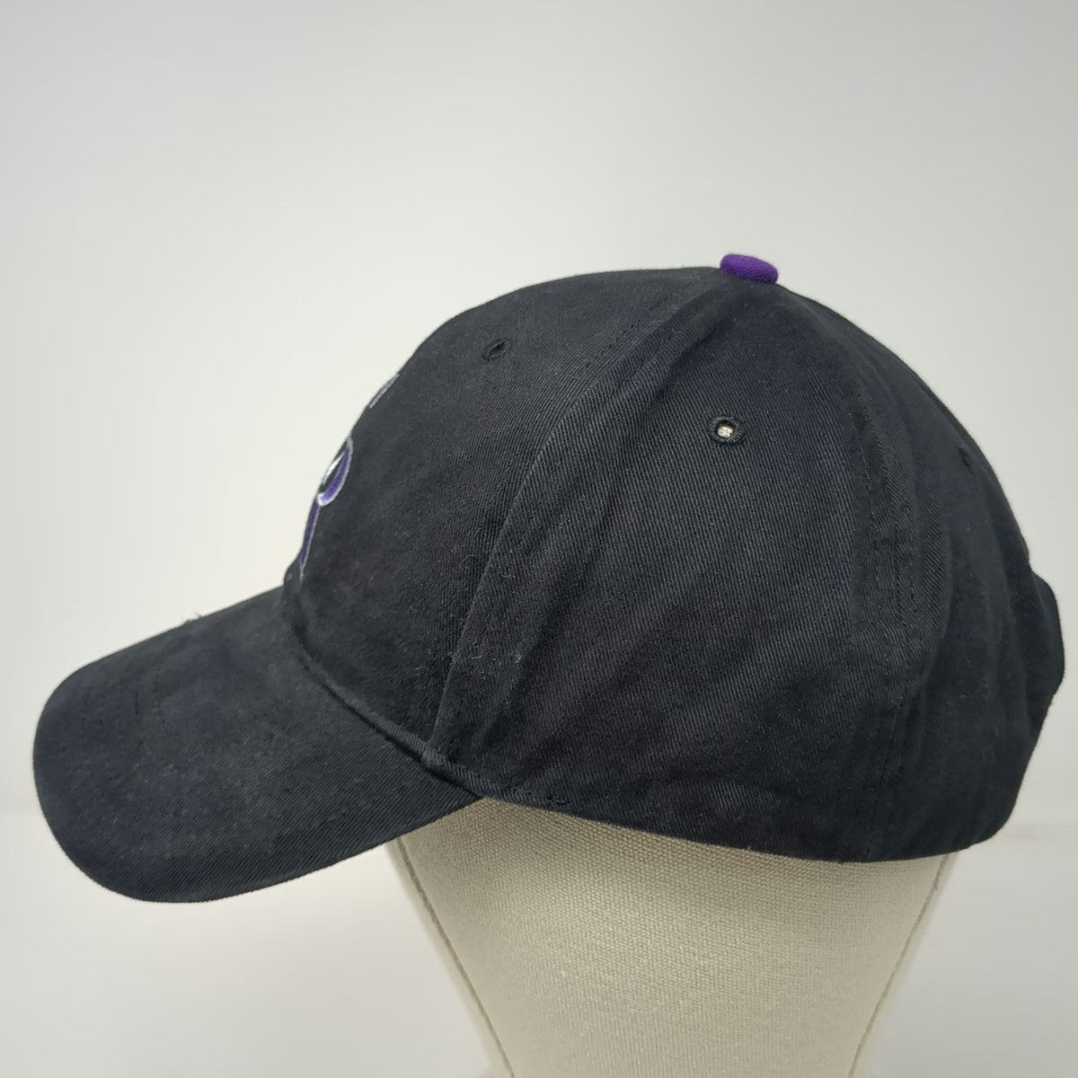Colorado Rockies MLB Fan Favorite Baseball Cap Black Purple Silver OS Strapback