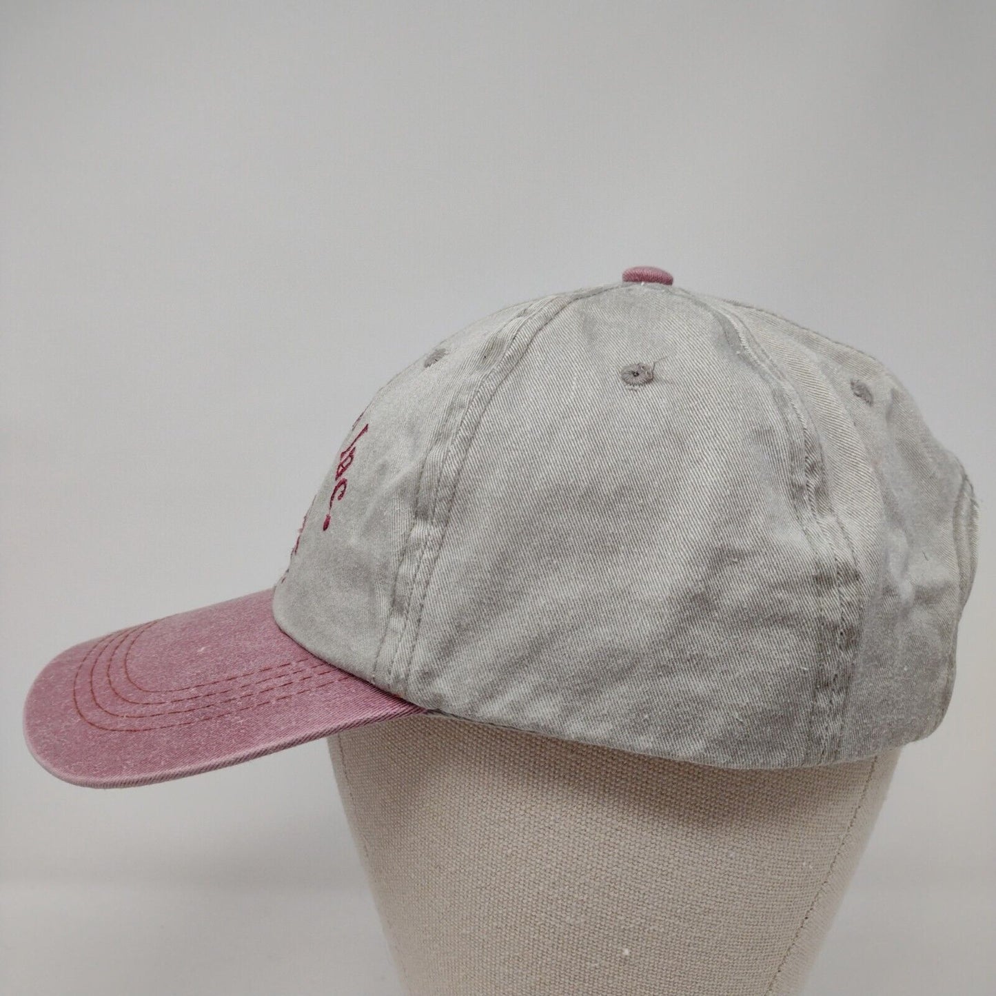 Dale's Crane Inc. Slideback Hat Multi OSFA Colorblock Port Authority