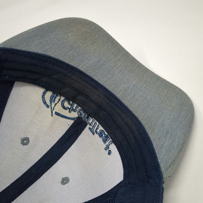 Outdoor Cap ChemTreat Trucker Hat Gray Blue One Size Snapback Mesh Back Graphic
