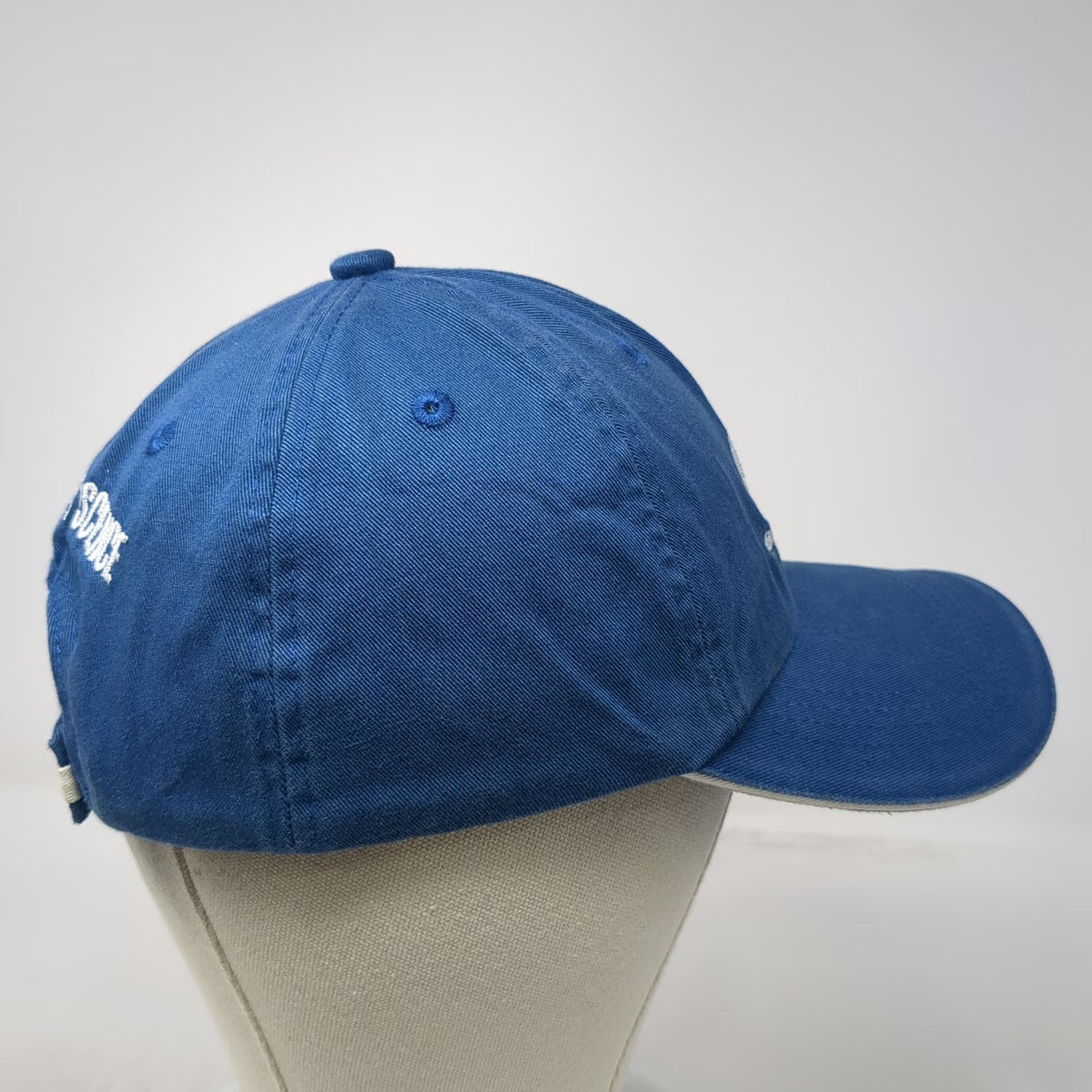Port Authority Baseball Cap Blue One Size Society for Science Embroidered Hat