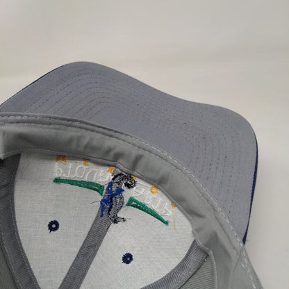 Pto. Vallarta Mexico Strapback Hat Gray One Size Embroidered 6 Panel
