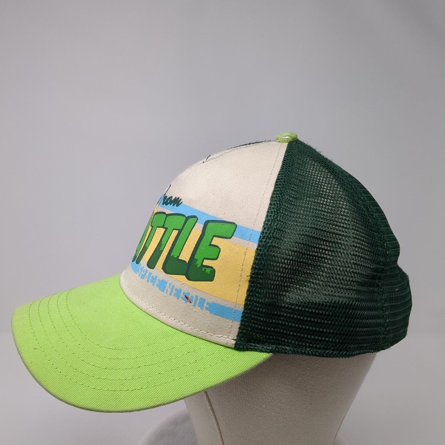 Greetings From Seattle Snapback Trucker Hat Green OS Adjustable American Needle