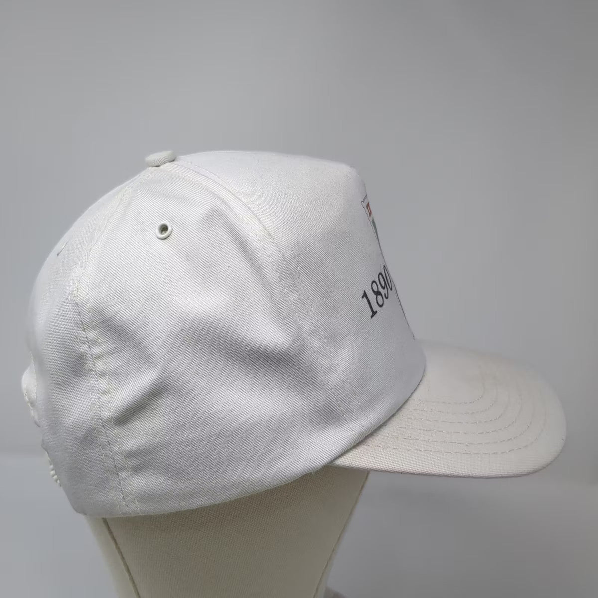 White Idaho Centennial 1890-1990 Postage Stamp 5 Panel Snapback Hat OS Vintage