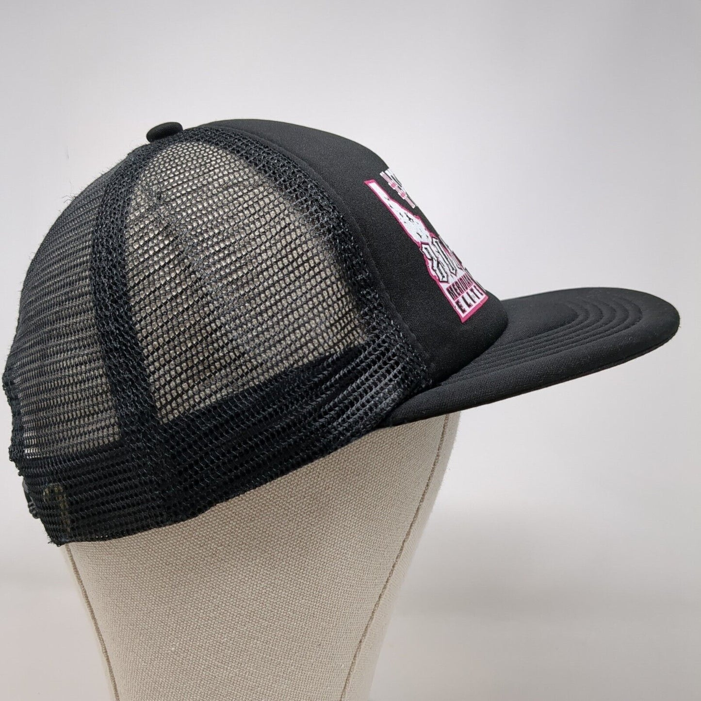 Protect This House Meridian Elite Snapback Trucker Hat Black OSFA Mesh District