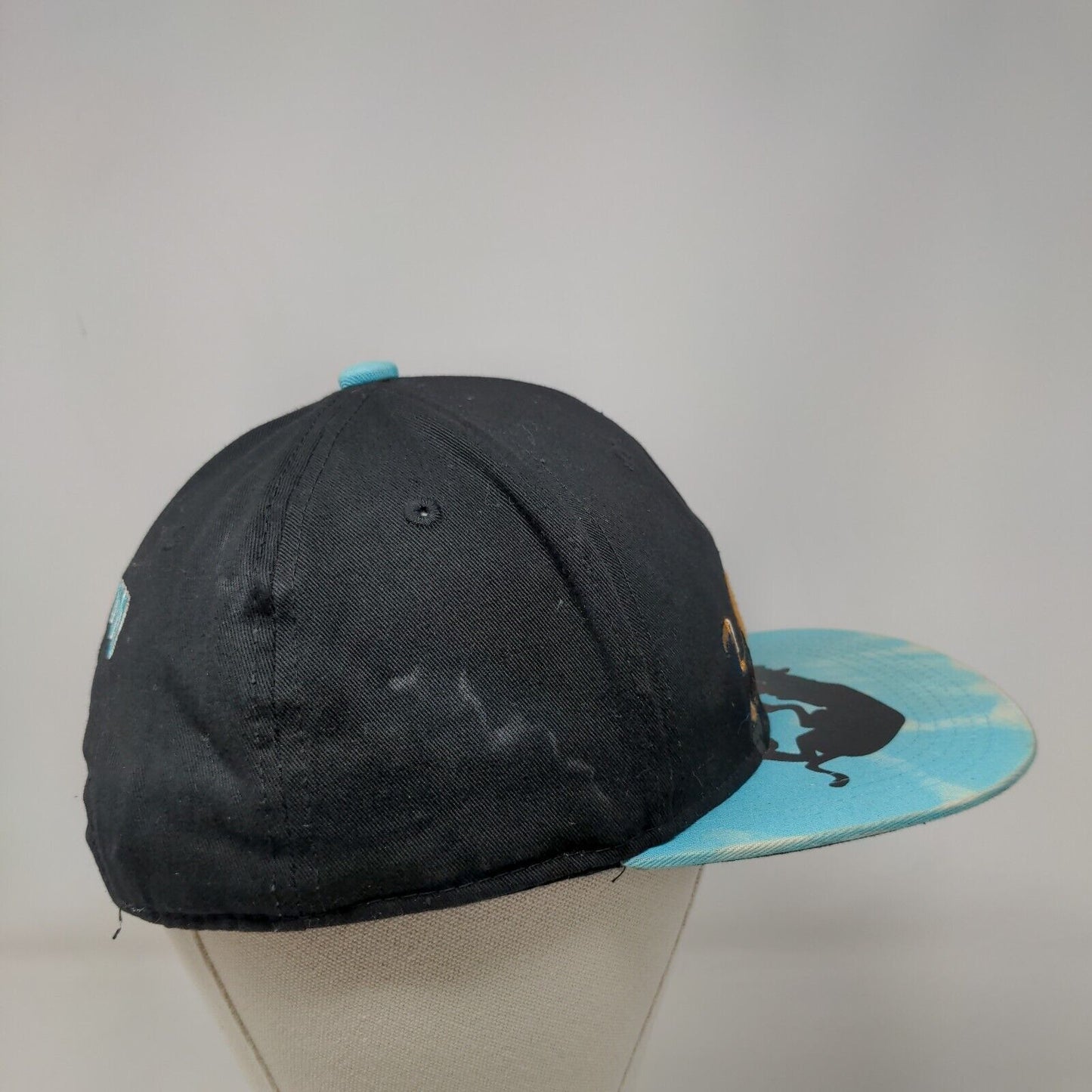 Scooby-Doo Snapback Hat Multi One Size Embroidered Vent Holes Colorblock