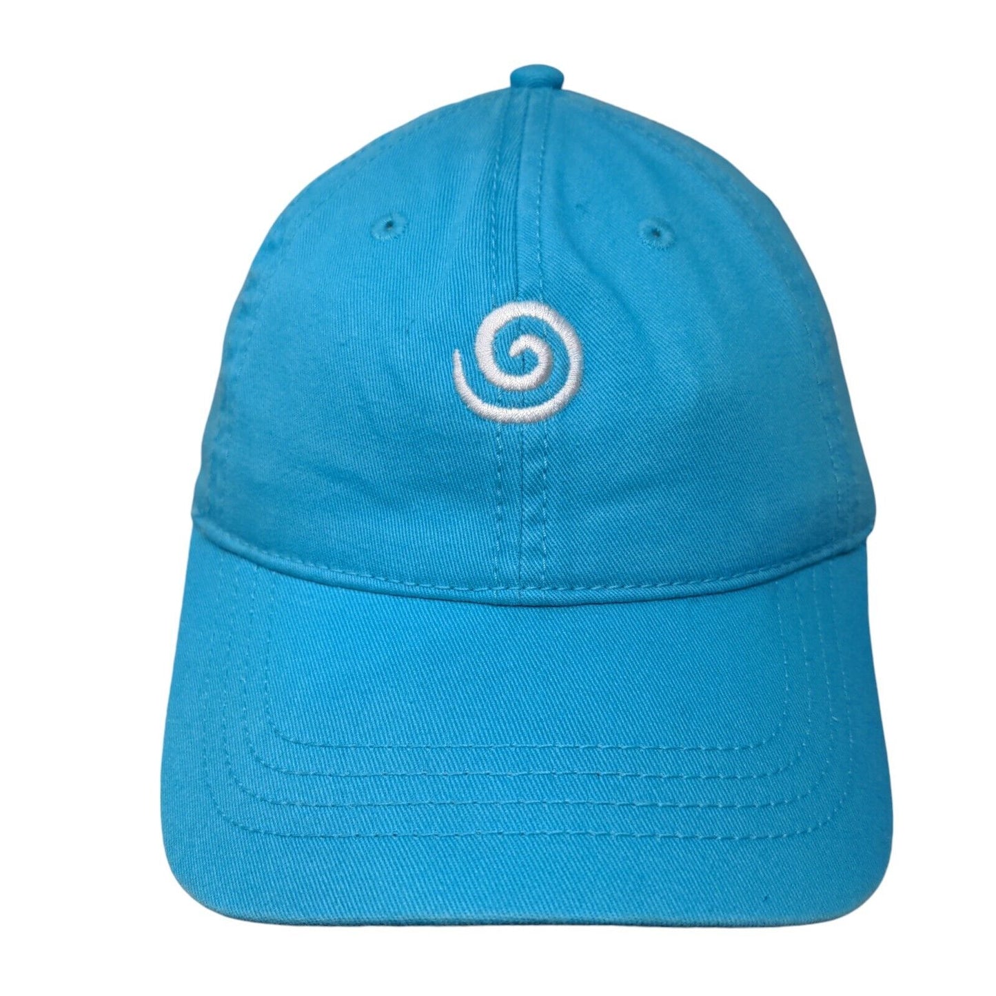 Lung Force Walk 2016-2017 Strapback Hat Blue One Size Cap America