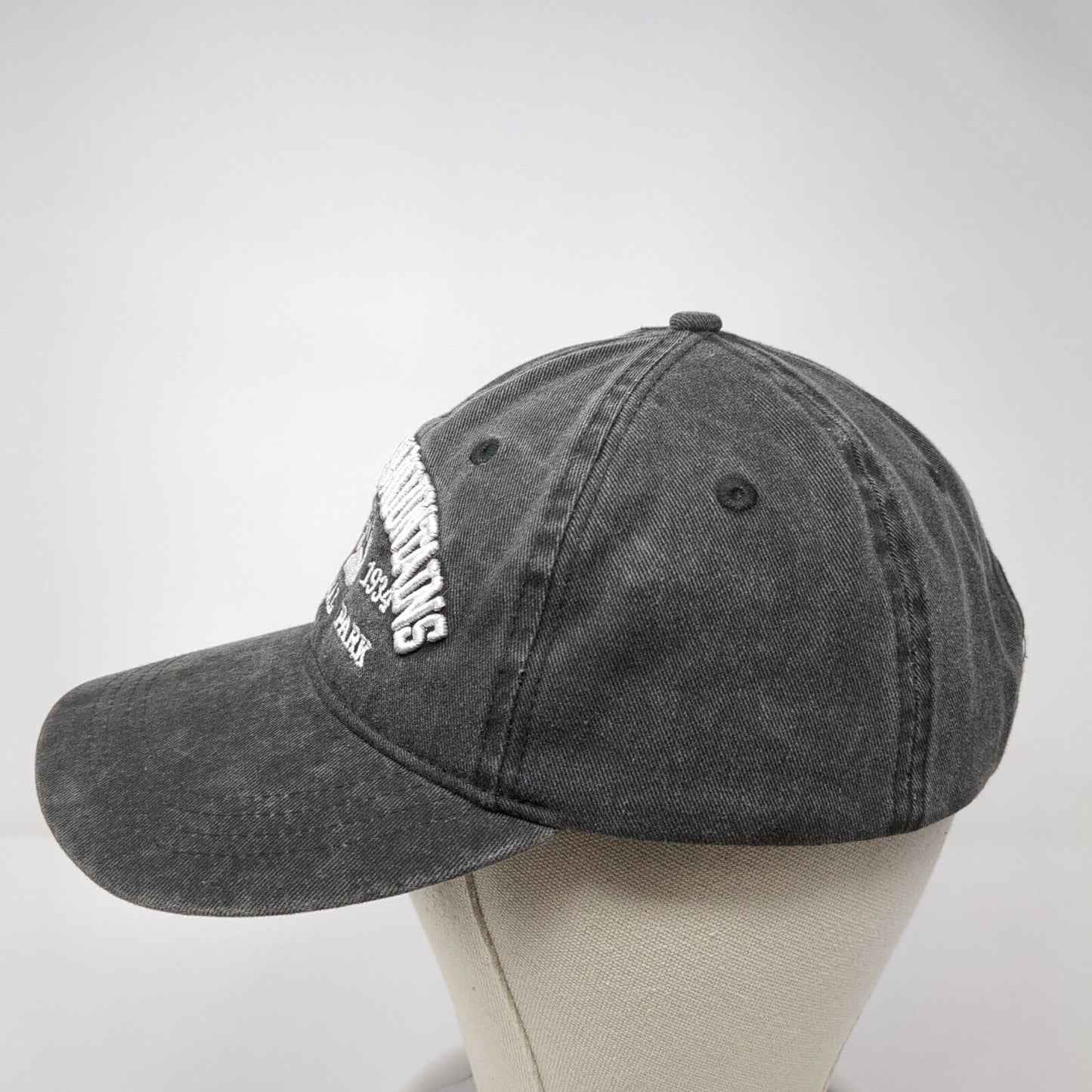 Great Smoky Mountains National Park Strapback Hat Gray One Size Outdoor
