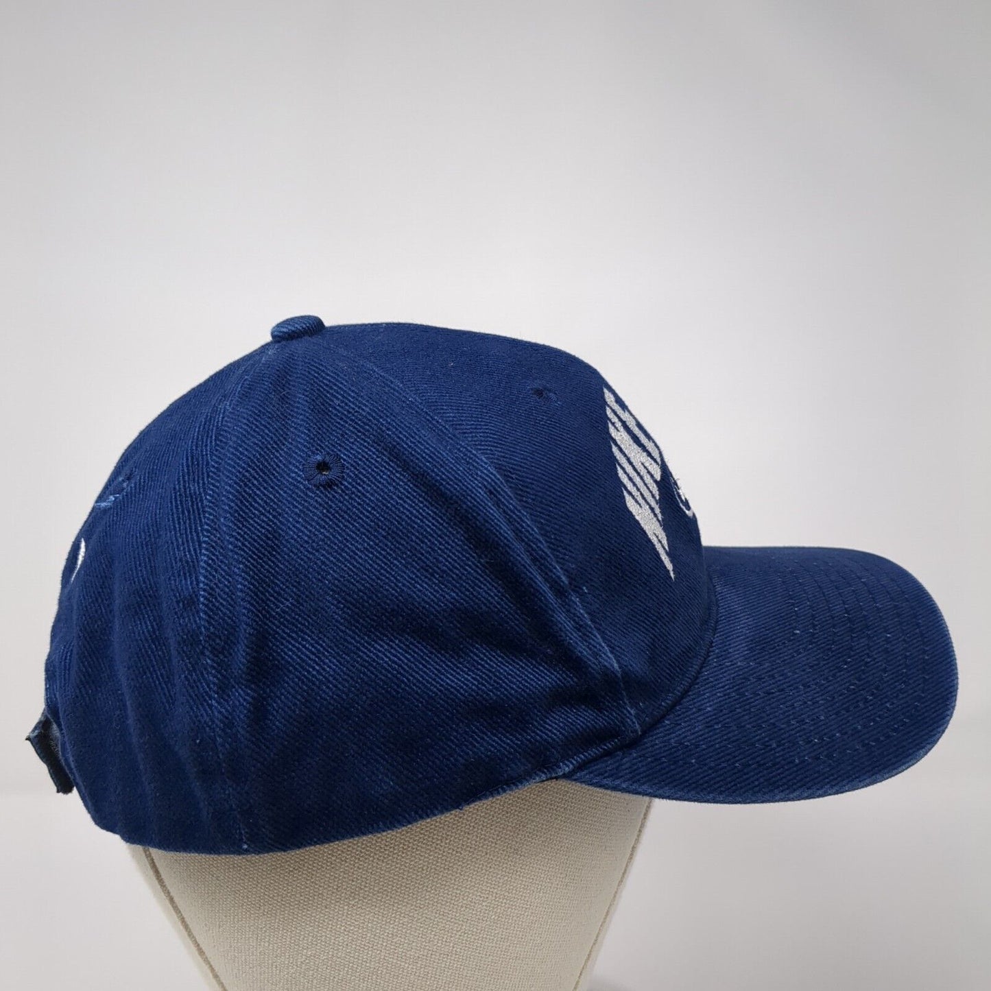 Nike Town Strapback Hat Blue One Size Adjustable USA Swoosh Embroidered