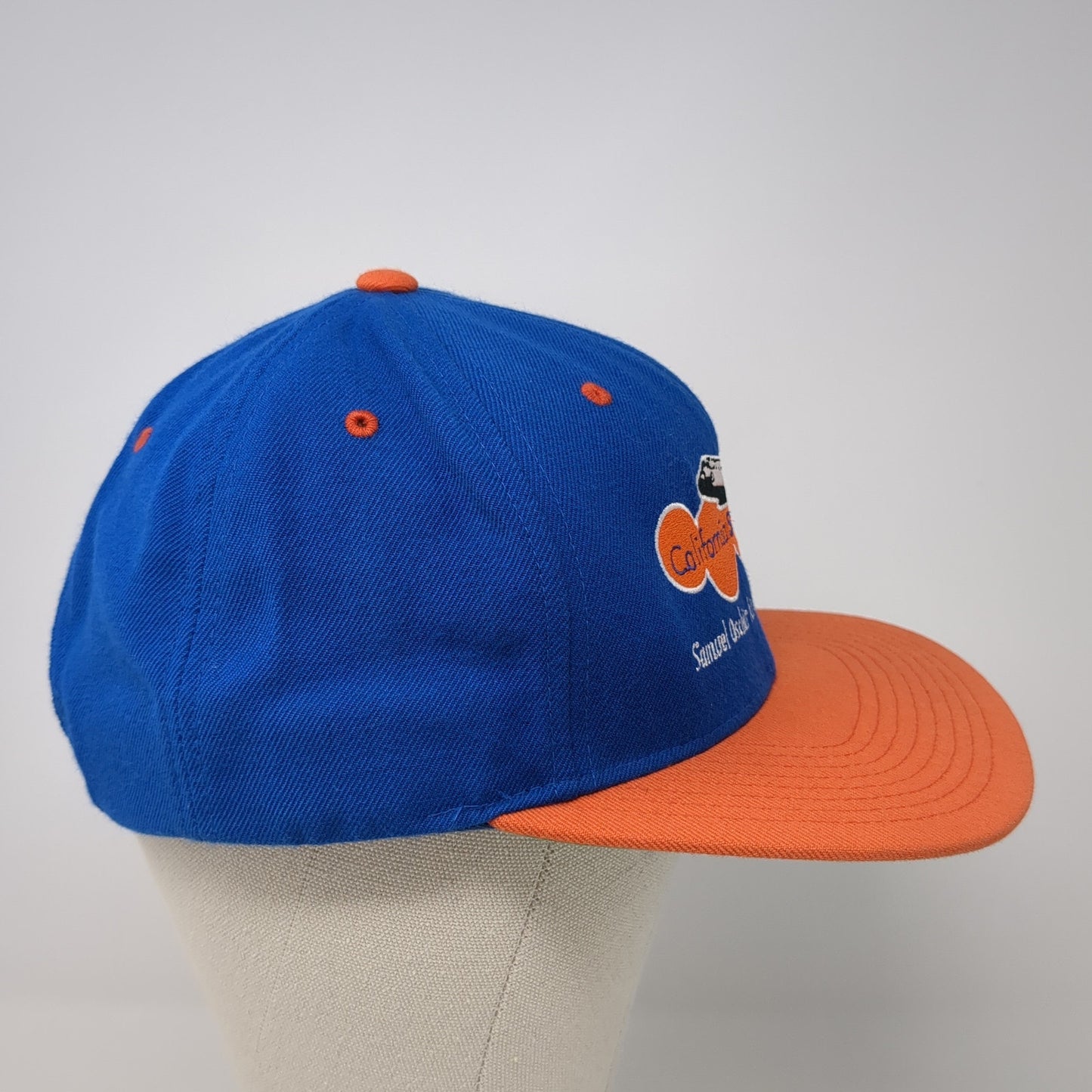 Californai Scien Center Samuel Oschin Air and Space Center Snapback Hat Multi OS