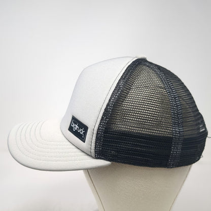 Bigtruck Gray Trucker Hat One Size Snapback Mesh Foam Adventure Mountain Patch