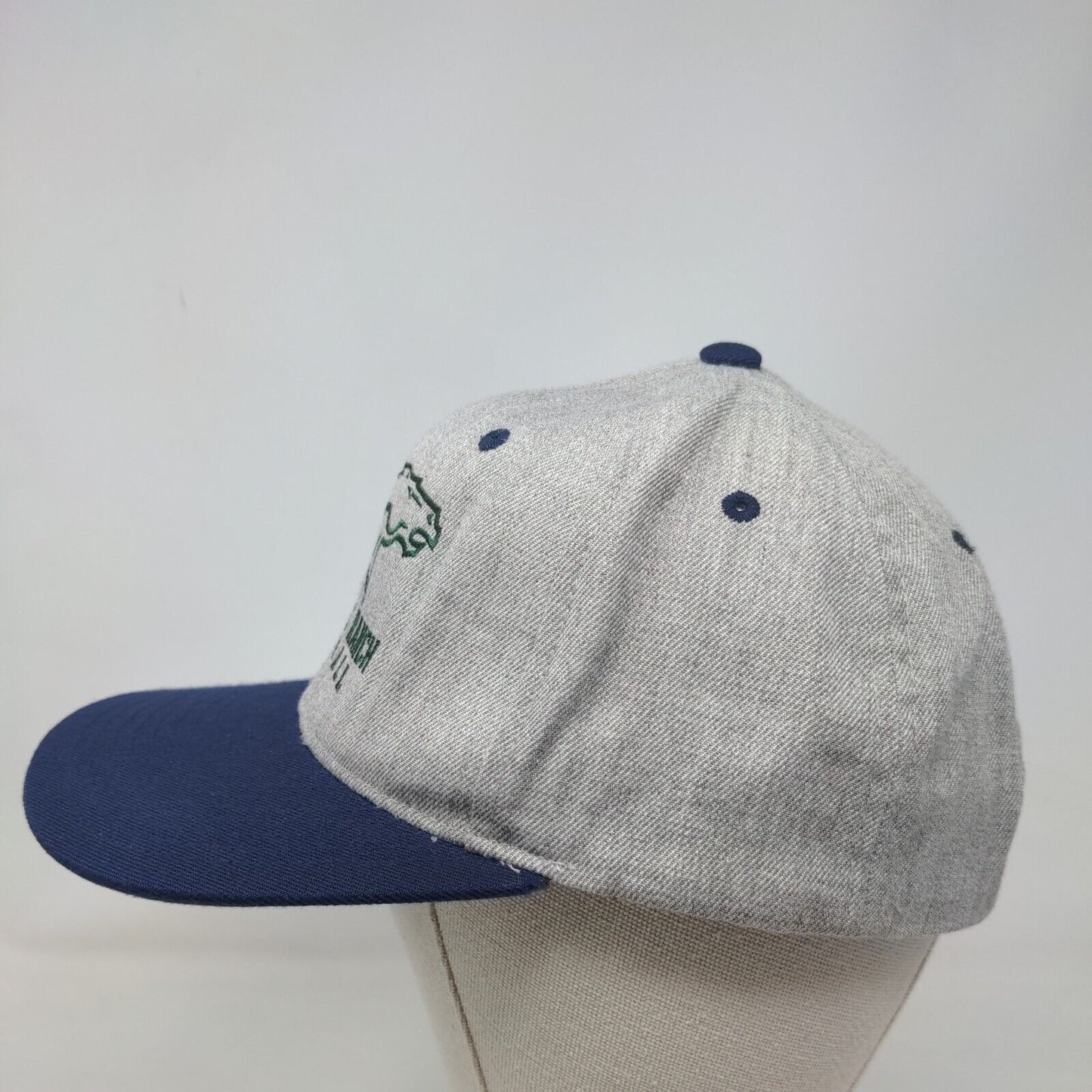 Damonte Ranch Football Snapback Hat Multicolor OSFA Adjustable Embroidered