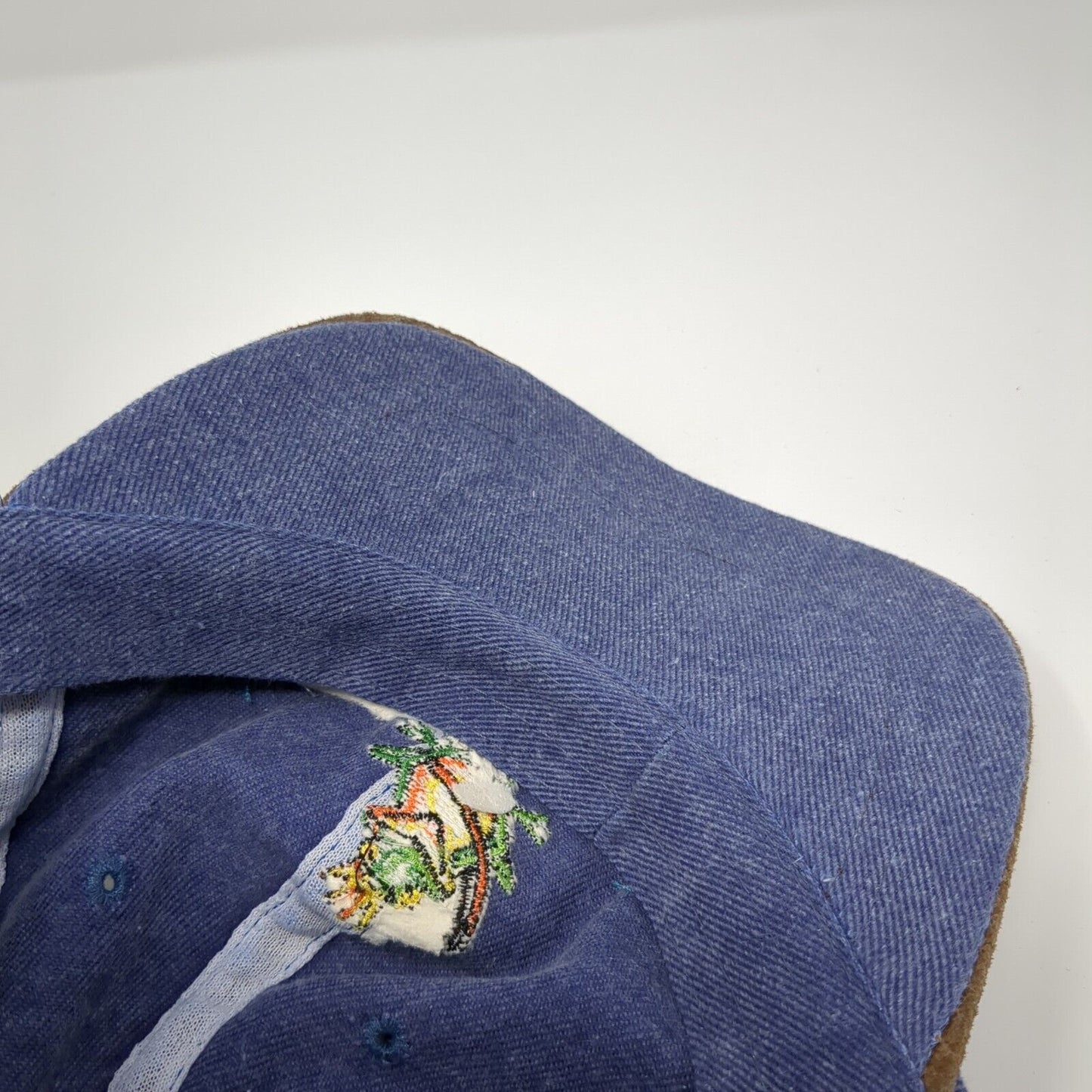 Neil Diamond Frog Slideback Hat Blue One Size Adjustable Fahrenheit