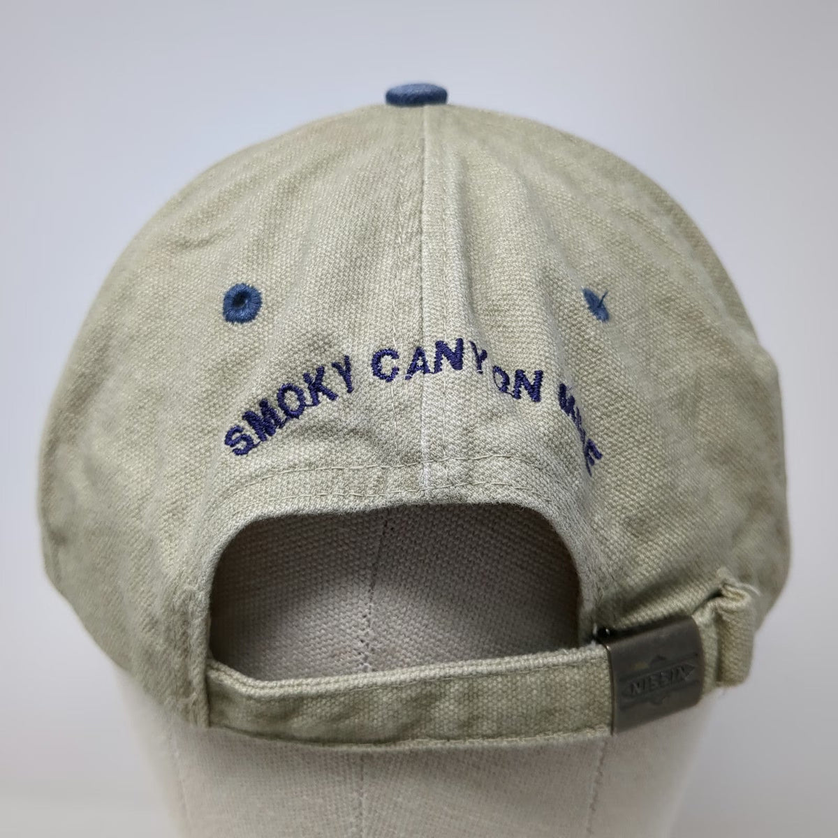 Nissin Baseball Cap Beige Blue One Size Simplot AgriBusiness Fish Smoky Hat